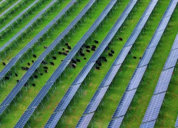 Sichuan, Cina: Avviato un Rilevante Progetto Fotovoltaico in Alta Quota - Agenzia di Stampa Italpress