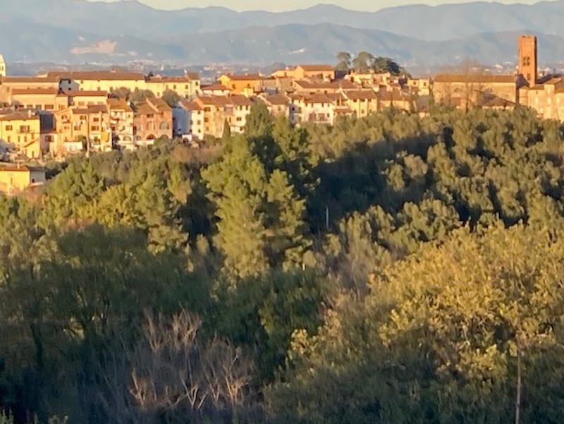 Una giornata di studio a Montopoli con la pedagogista Nora Giacobini