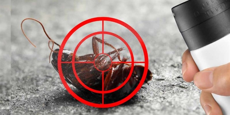 Mugello: Come realizzare un repellente fatto in casa per eliminare gli scarafaggi: è straordinario!