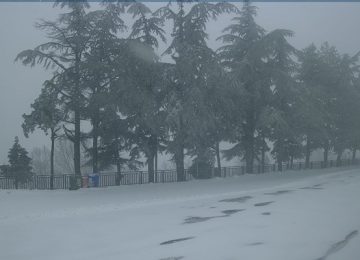 Epifania nella neve del Mugello