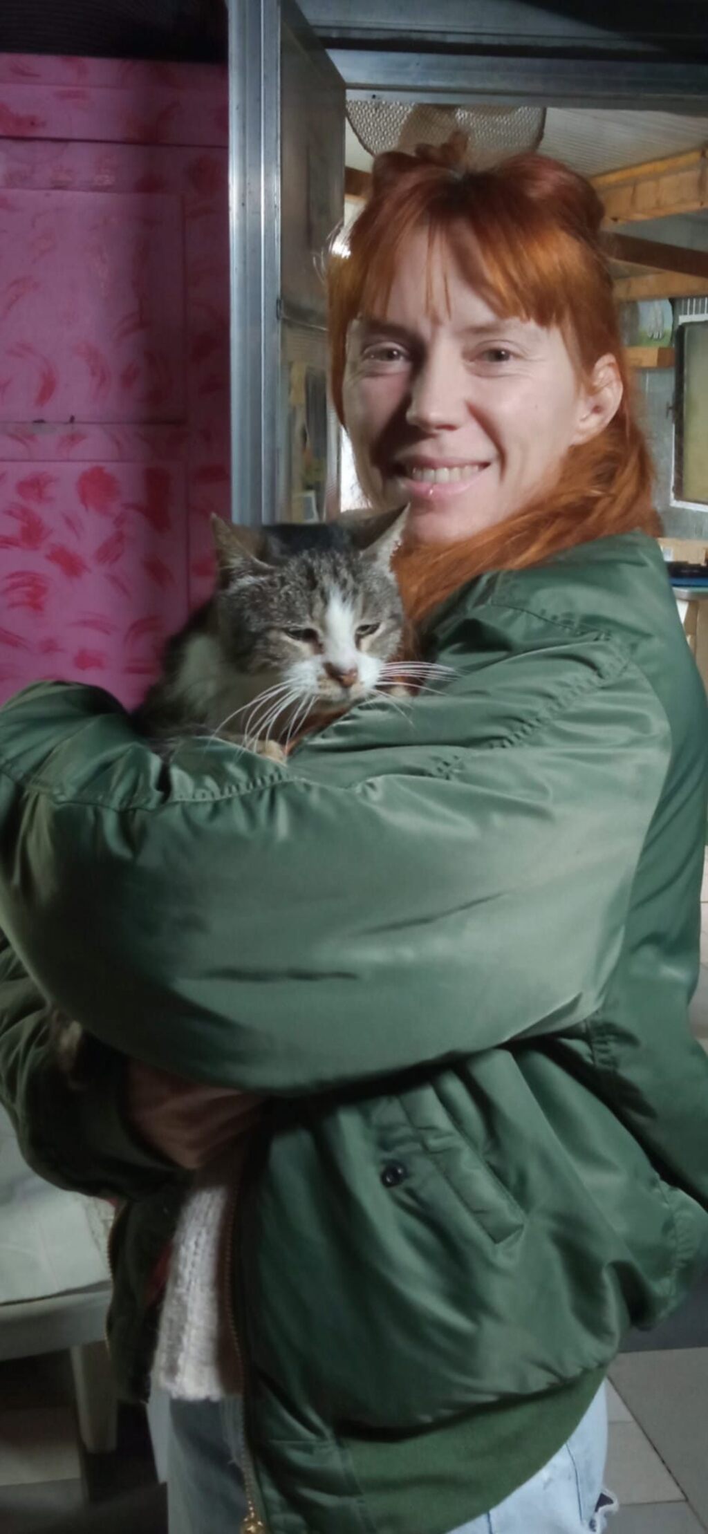 Amore a prima vista: Pansito abbandona il gattile di Empoli a 13 anni