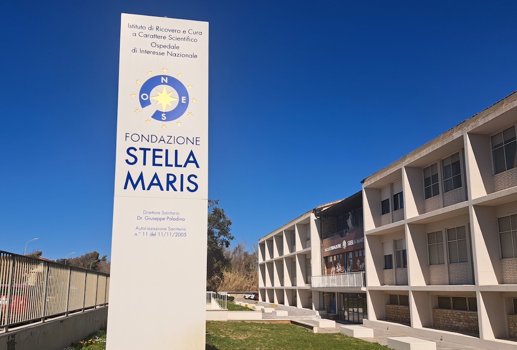 rewrite this title Giovane ricercatrice di Stella Maris vince un bando Telethonin Italian