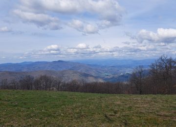 A Londa, Comune del Parco Nazionale, le pale eoliche non devono girare – OK!Valdisieve