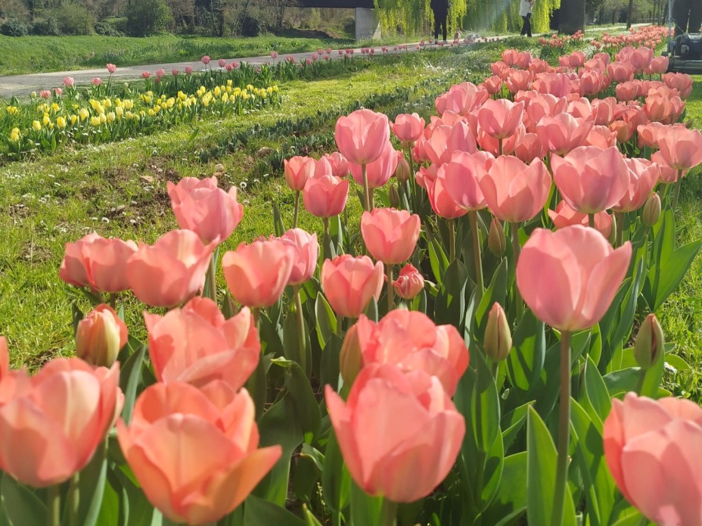 Al via a Pontassieve la prima edizione di 'Wanderandpick'