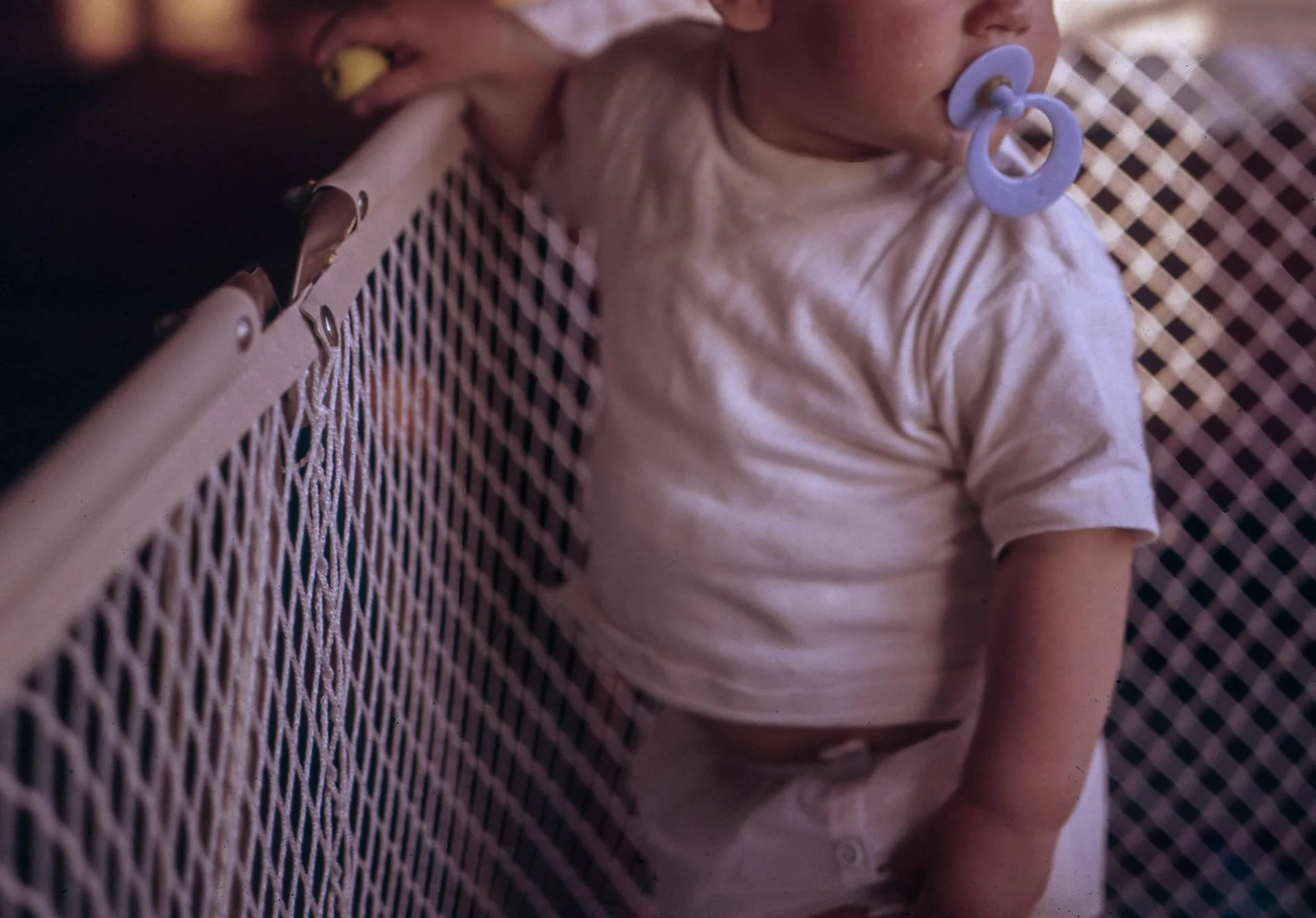 Aumenta la popolazione straniera e diminuisce la natalità.