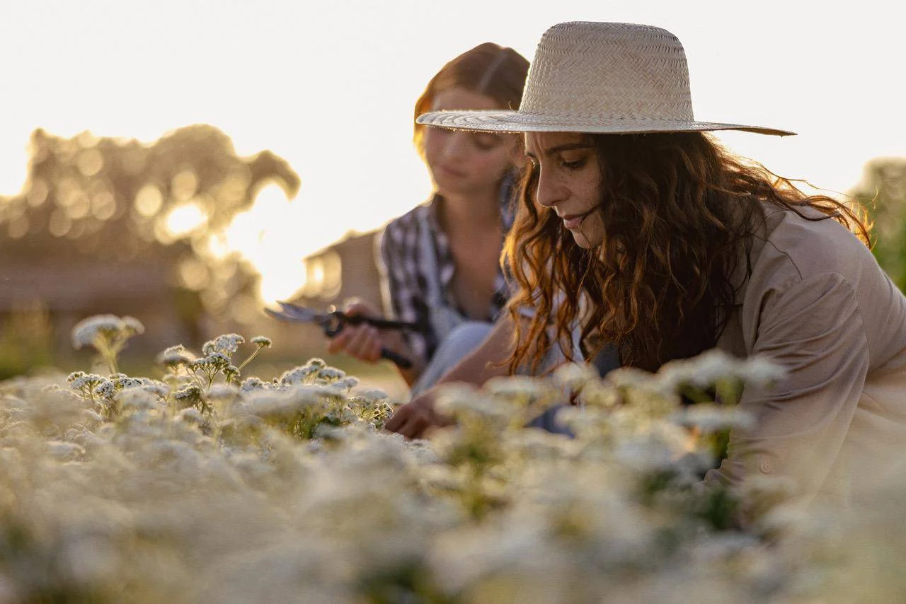 Candidature aperte fino al 15 maggio