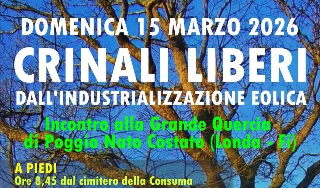 Difesa dei Crinali Liberi di Londa: Camminata del 15 marzo 2026