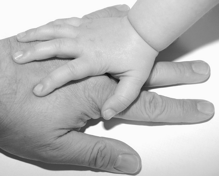 Fondo per disabilità in ritardo, una madre scrive al ministro Locatelli: "Molte famiglie attendono una risposta"