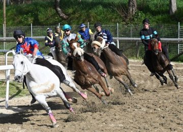 Fucecchio: La Buca del Palio riapre i cancelli per l'inizio degli allenamenti di fantini e cavalli