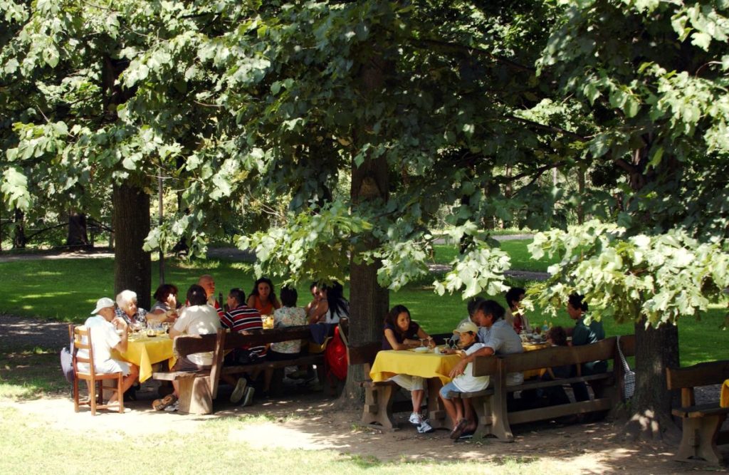 Il Mezzogiorno conduce la crescita dell'agriturismo nel 2024