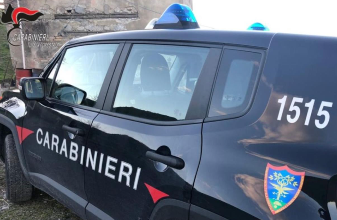 Imprenditrice denunciata per abbandono di rifiuti pericolosi in un terreno a Collesalvetti