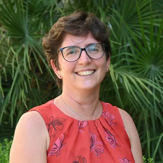 Batterie e transizione ecologica: Laura Castelli confermata alla guida del CDCNPA