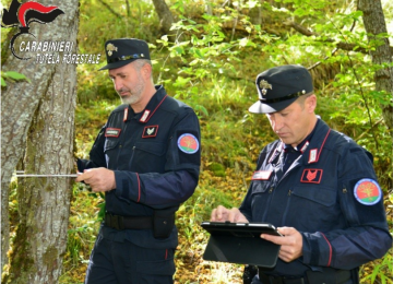 Livorno: Denuncia per lavori edili irregolari vicino al Botro del Molino