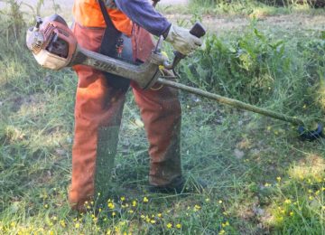 Manutenzione del verde pubblico: inizia il taglio dell'erba nel centro di Certaldo