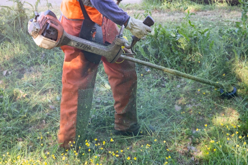 Manutenzione del verde pubblico: inizia il taglio dell'erba nel centro di Certaldo