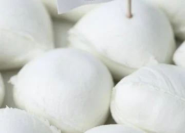 Mozzarella di Bufala e Jabugo DOP: Il Gemellaggio Europeo del Gusto a Barcellona