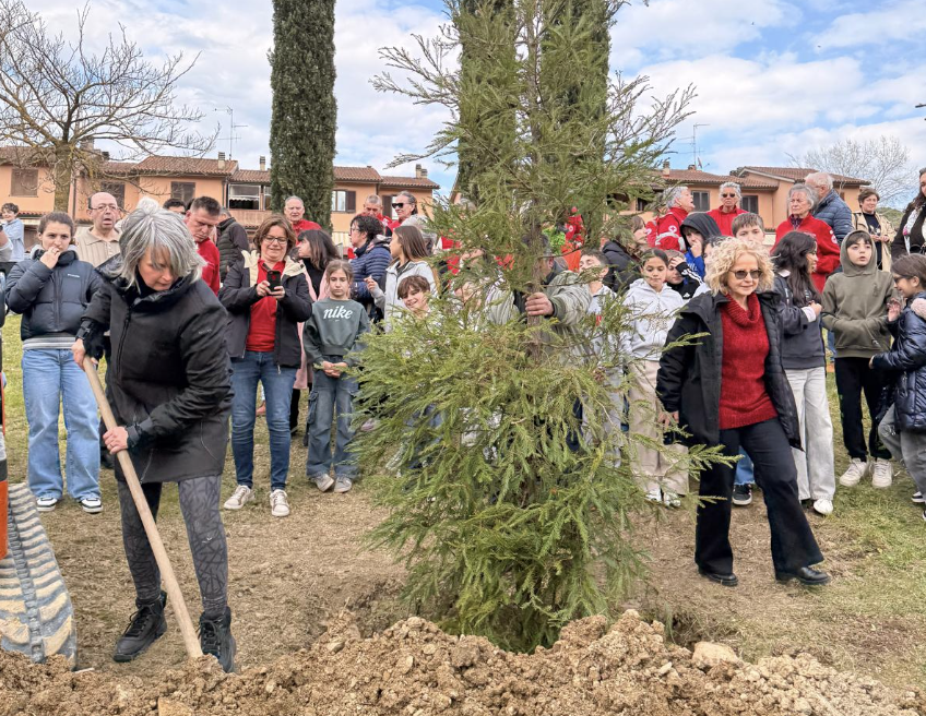 Piantata a Greve una sequoia per Julia Butterfly Hill, che visse su un albero per difenderlo
