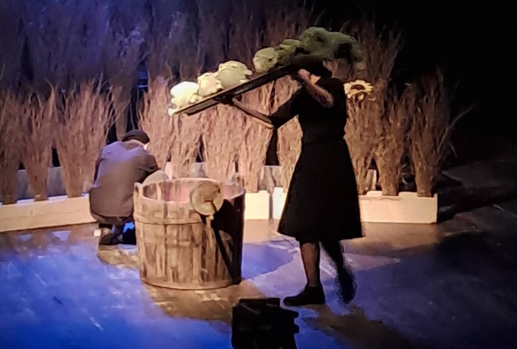 Successo del Festival "Teatro fra le Generazioni" a Castelfiorentino