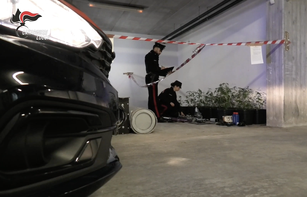 Viareggio: Arrestato con 20 piante di cannabis e marijuana in casa