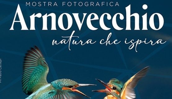A Empoli, una mostra fotografica sull'Oasi di Arnovecchio