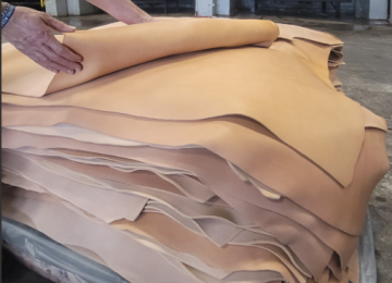 Attraverso le sostanze controverse nella pelle: il progetto di ricerca di San Miniato