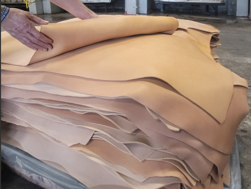 Attraverso le sostanze controverse nella pelle: il progetto di ricerca di San Miniato