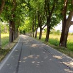 Cura del territorio e del verde: Altopascio potenzia la manutenzione e il taglio dell'erba