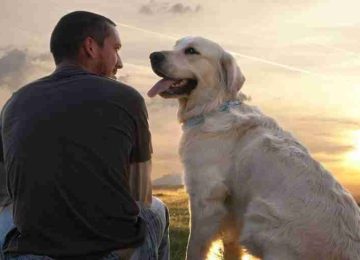 Da proprietà a consapevolezza: ad Altopascio un ciclo di incontri sul rapporto tra uomo e animale