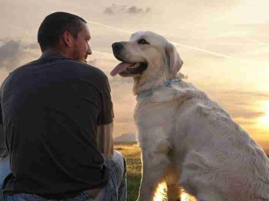 Da proprietà a consapevolezza: ad Altopascio un ciclo di incontri sul rapporto tra uomo e animale