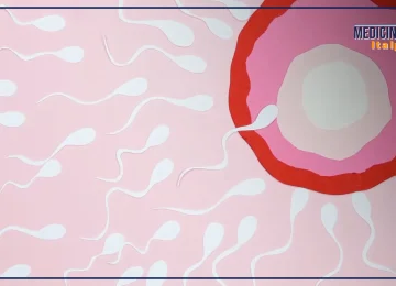 Fertilità femminile: strategie mediche per preservarla
