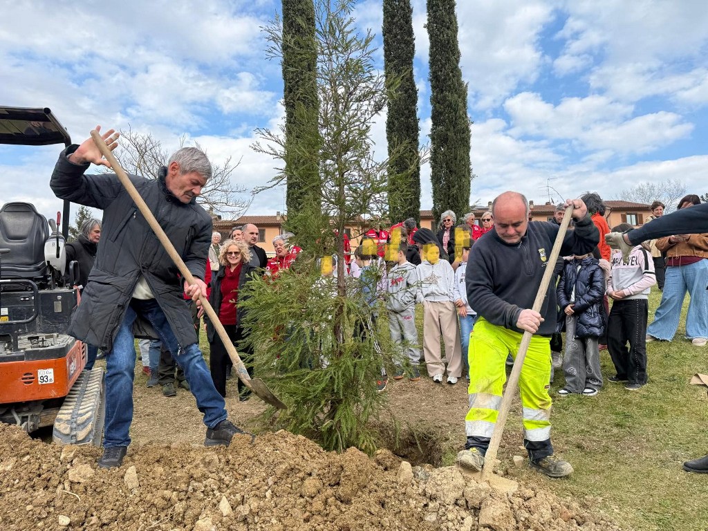 Greve in Chianti rende omaggio a Julia Butterfly Hill con la piantumazione di 'Luna del Chianti'
