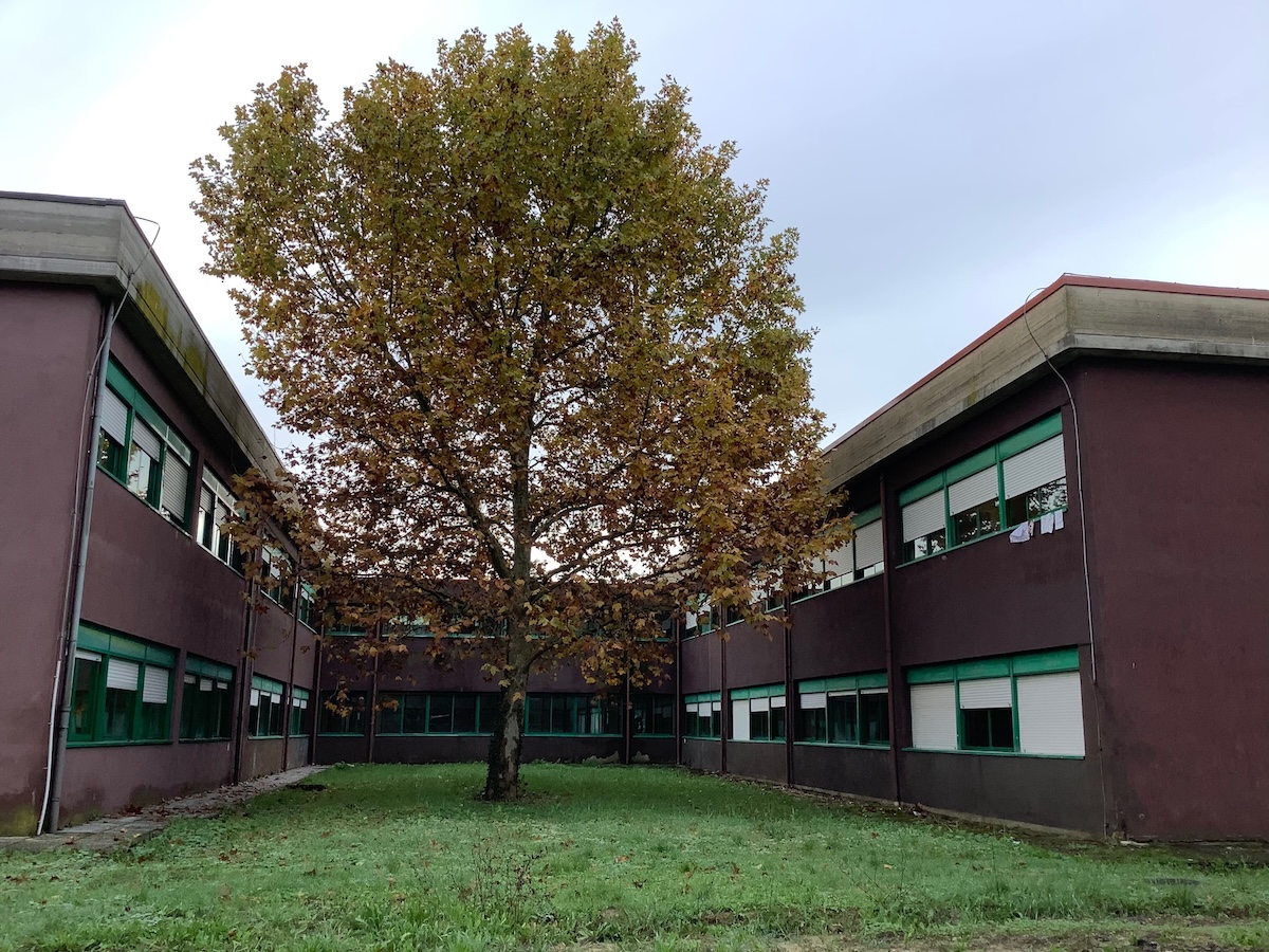 L'Enriques ospita la Gara Nazionale di Grafica 2026: studenti da tutta Italia a Castelfiorentino