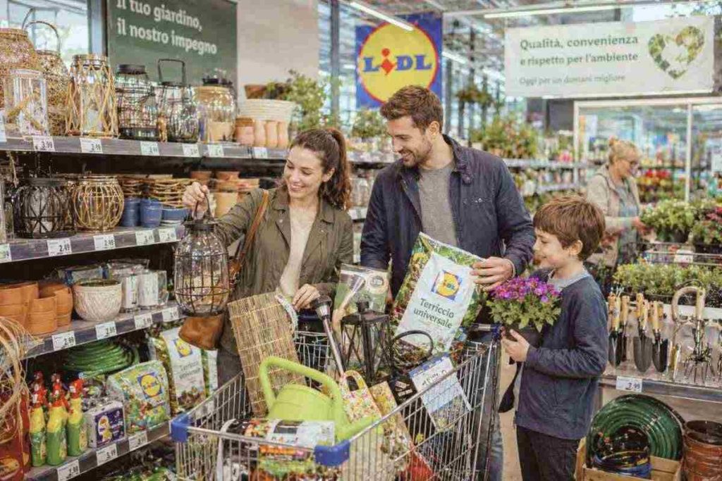 Lidl presenta il suo sistema per giardini e balconi a meno di 7 euro: è scattata la caccia all'affare! – OK! Mugello