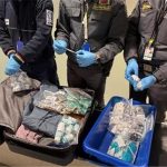 Aeroporto 'Vespucci': sequestrati 5.000 farmaci illegali in un anno