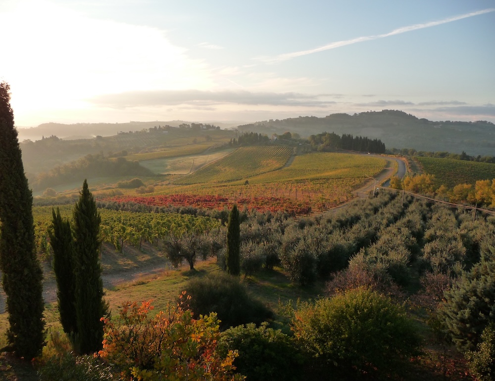 Montespertoli debutta alla Chianti Lovers Week: domenica di assaggi in centro