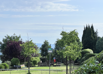 Montespertoli riduce gli sfalci per "proteggere la natura urbana"