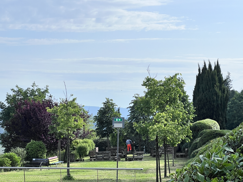 Montespertoli riduce gli sfalci per "proteggere la natura urbana"