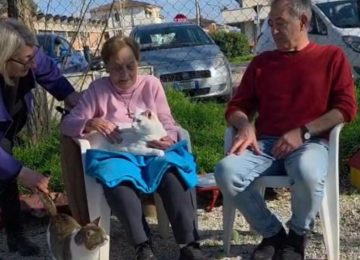 Nonna Silvi ospite speciale del gattile di Empoli, l'appello: "Sostenete l'associazione"