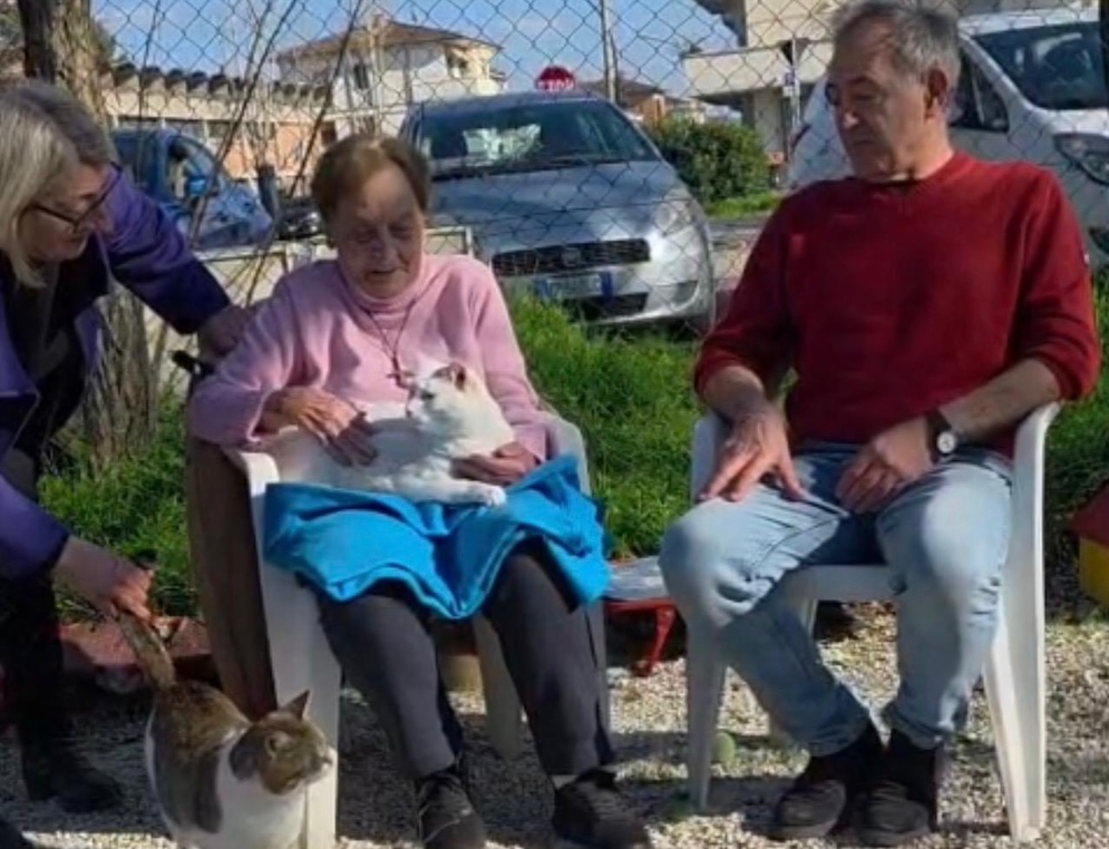 Nonna Silvi ospite speciale del gattile di Empoli, l'appello: "Sostenete l'associazione"