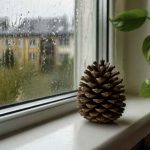 Prendi una pigna e posala sul davanzale: ciò che accade in casa è incredibile – OK!Mugello