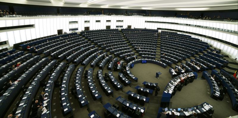 Prime norme dell'Unione Europea per la protezione di cani e gatti contro i maltrattamenti dall'Europarlamento