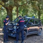 Smantellato il bivacco dello spaccio nei boschi di Corsignano