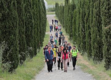 Torna 'Il Cammino di Santo Sano': trekking tra storia e natura a Vinci