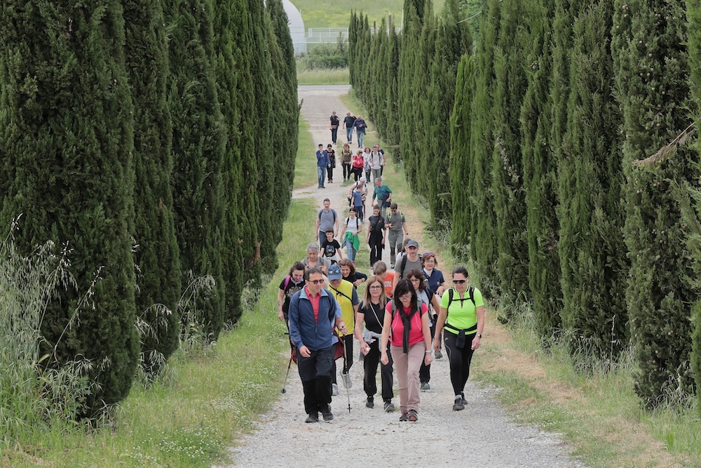 Torna 'Il Cammino di Santo Sano': trekking tra storia e natura a Vinci