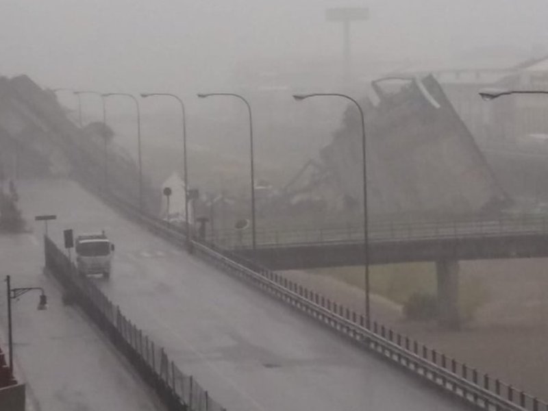 Un bosco della memoria a Firenze in memoria delle vittime del Ponte Morandi