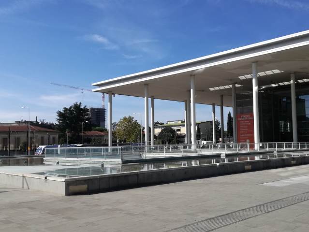 Un caso di dengue a Scandicci: domani mattina interventi di disinfestazione