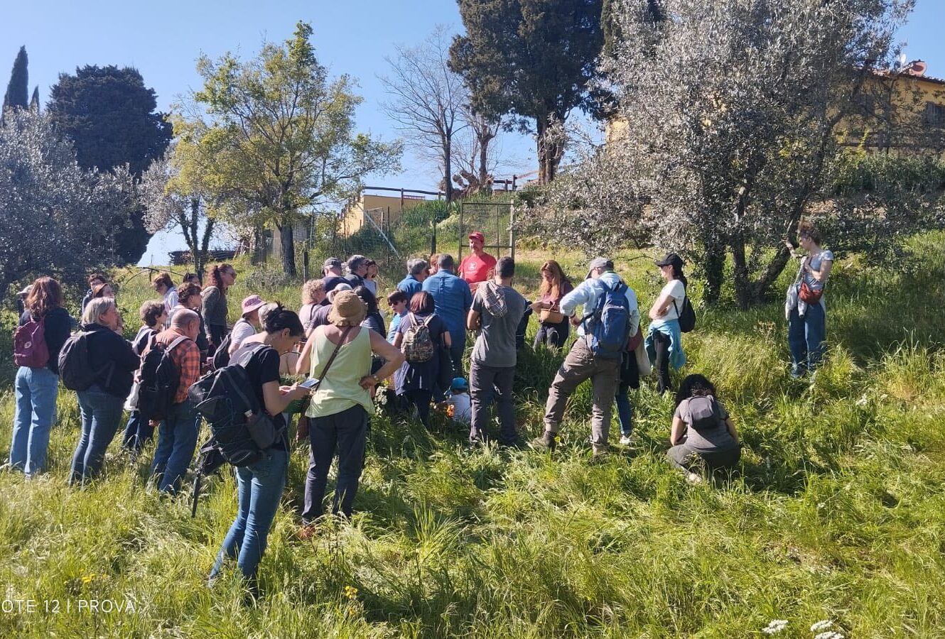 Pontassieve: Scoperta delle Erbe Spontanee del Territorio