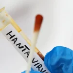 Hantavirus: il Ministero della Salute conferma che non ci sono casi registrati in Italia
