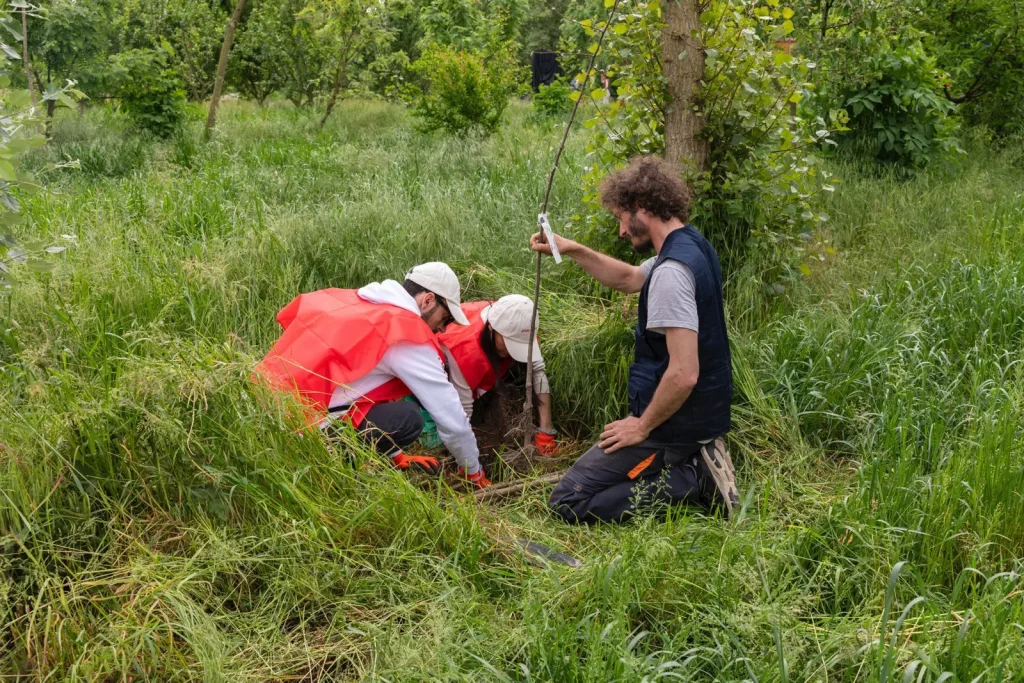 E.ON's Boschi Project Exceeds 150,000 Trees Planted