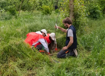 E.ON's Boschi Project Exceeds 150,000 Trees Planted